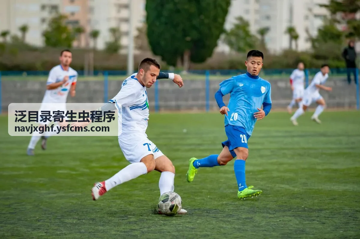 2025新版泛目录站群清理后复发检查